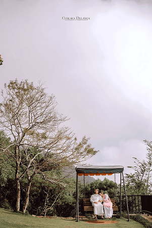 Couple seated together on a garden swing among trees